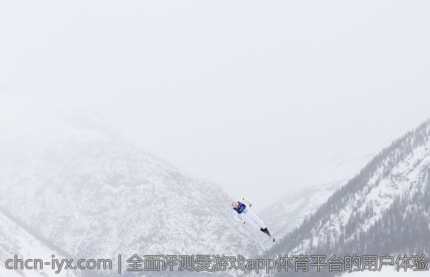 全面评测爱游戏app体育平台的用户体验